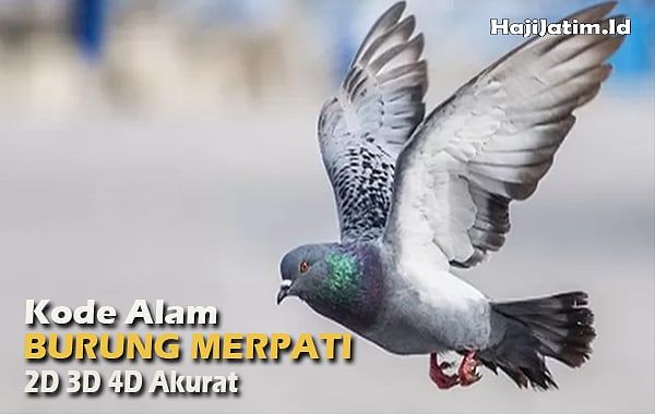 Merpati Putih dan Arti Mimpi